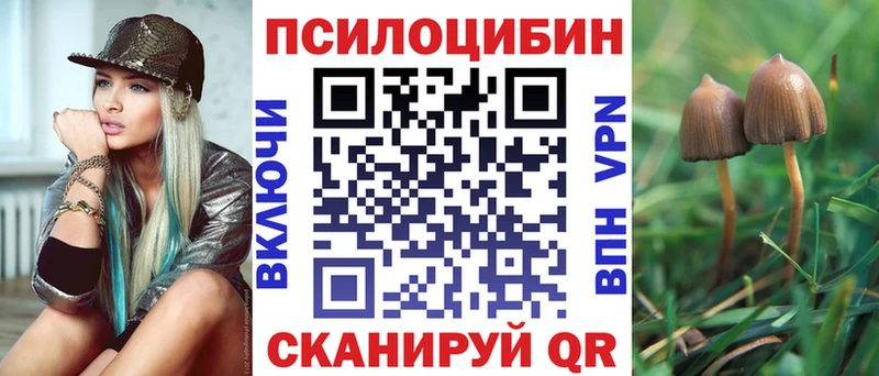 Галлюциногенные грибы мицелий  ссылка на мегу ссылки  Рудня 